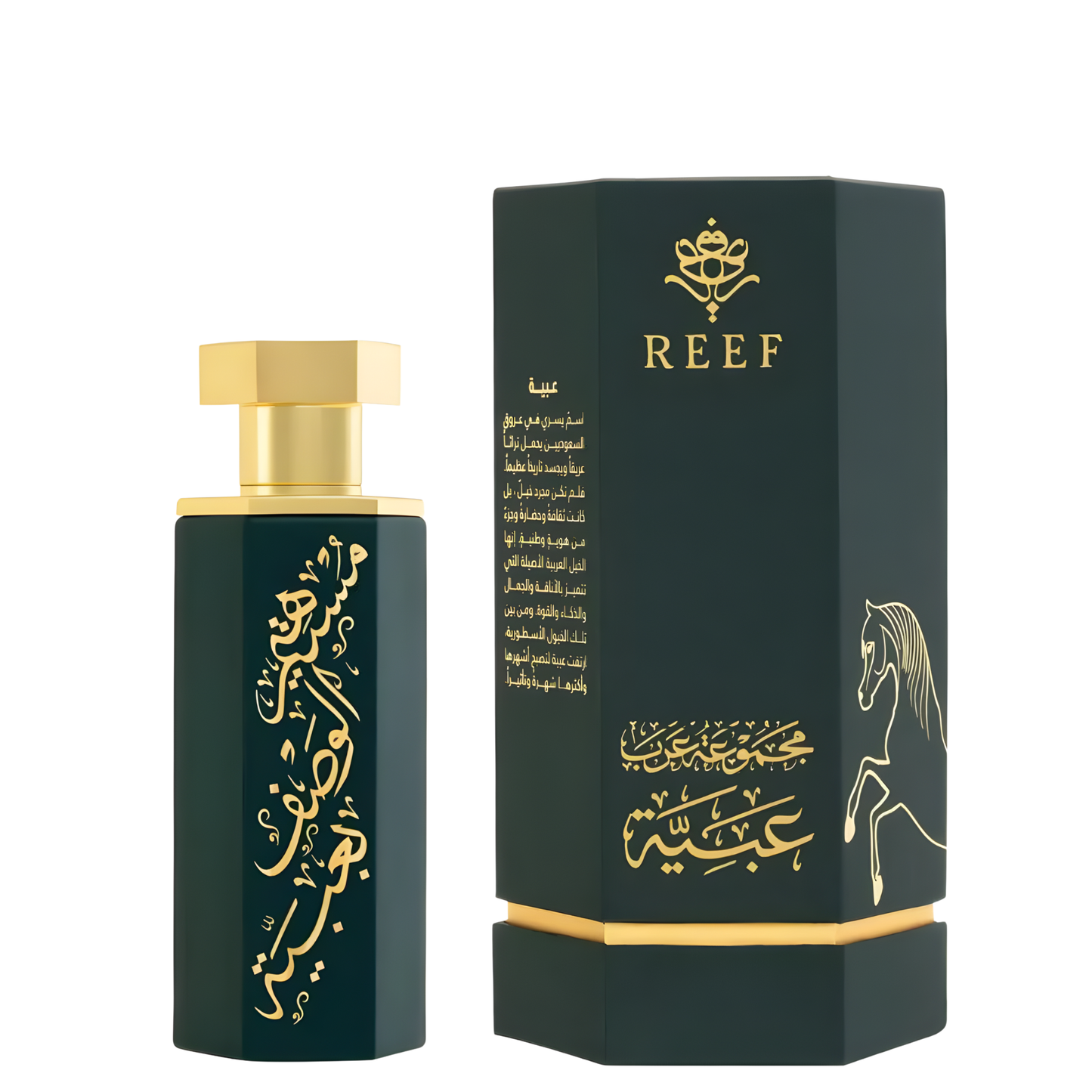 Arabs of Obaiah Perfume 100ml EDP Reef