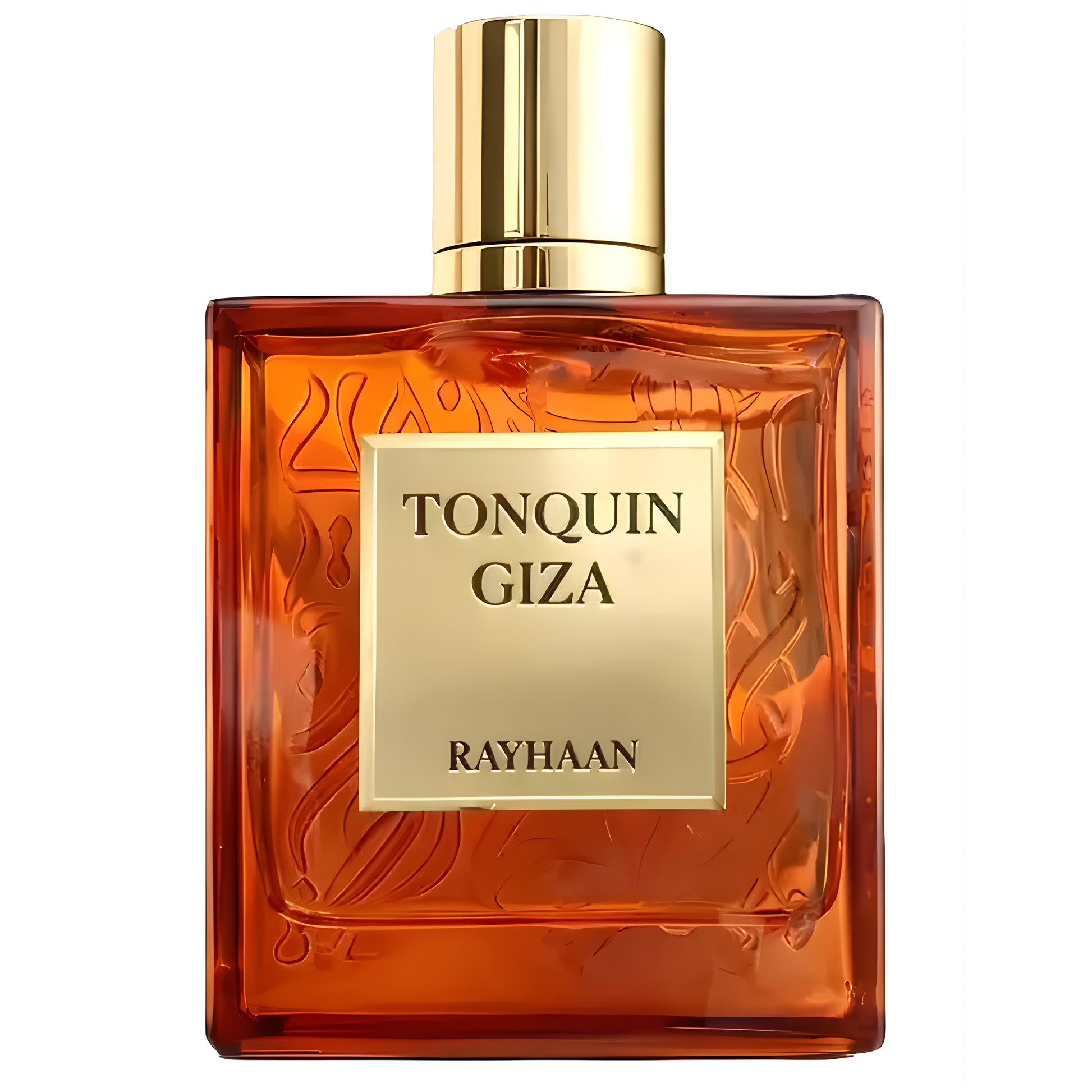 Tonquin Giza Perfume 100ml EDP Rayhaan